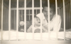 27 sept 35 wat hebben we een schik